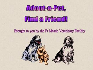 Adopt-a-Pet, Find a Friend!