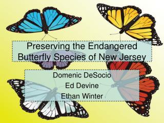 Preserving the Endangered Butterfly Species of New Jersey