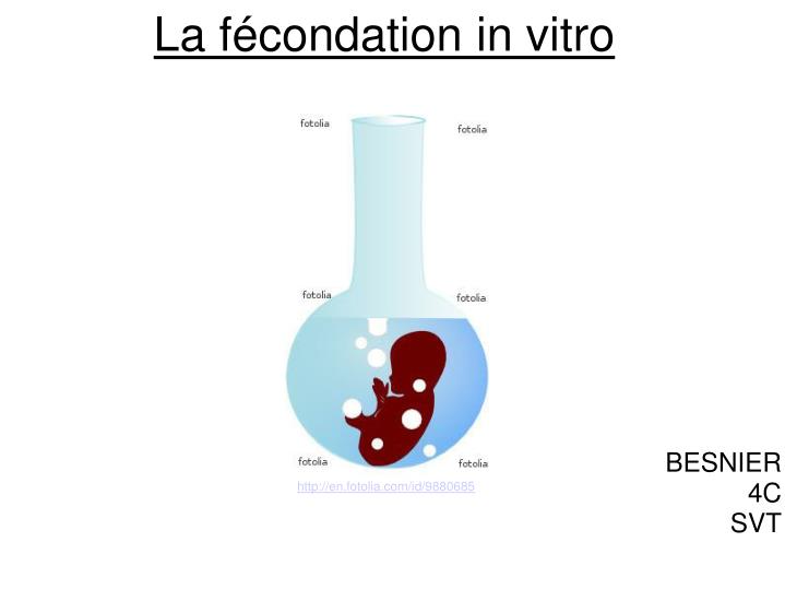 la f condation in vitro