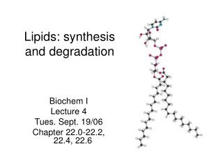 Lipids: synthesis and degradation
