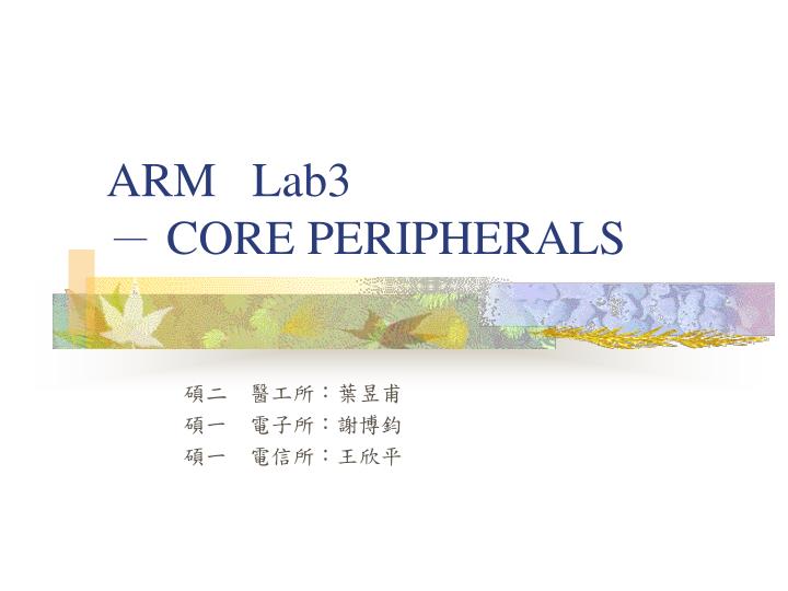 arm lab3 core peripherals
