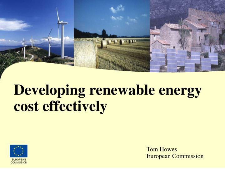 developing renewable energy cost effectively