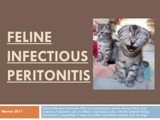 Feline Infectious P eritonitis