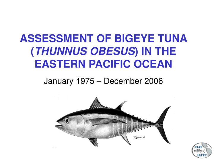 assessment of bigeye tuna thunnus obesus in the eastern pacific ocean