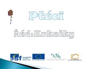 d kuka ky