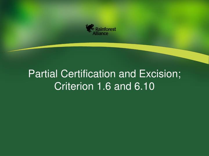 partial certification and excision criterion 1 6 and 6 10