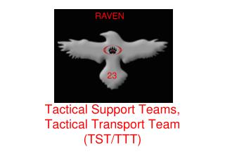 Tactical Support Teams, Tactical Transport Team (TST/TTT)