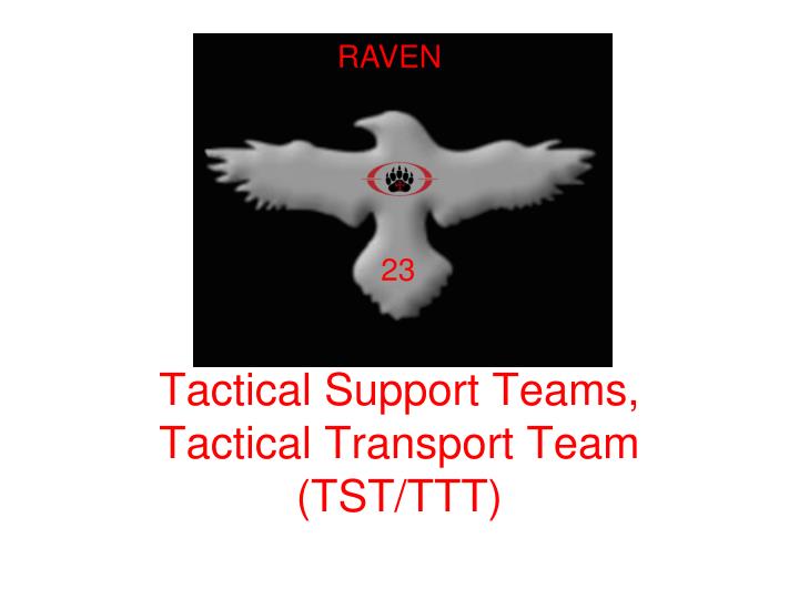 tactical support teams tactical transport team tst ttt