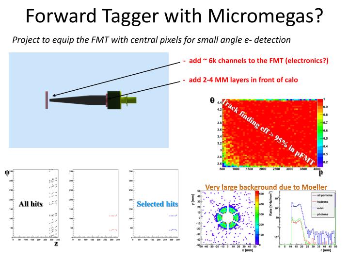 forward tagger with micromegas