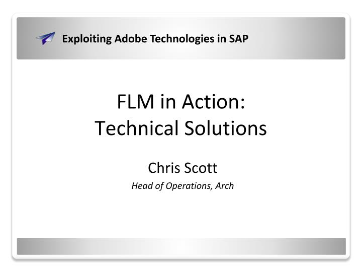 flm in action technical solutions