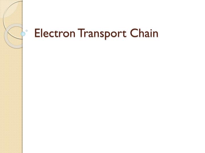 electron transport chain