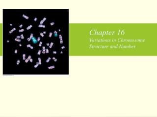Chapter 16 Variations in Chromosome Structure and Number