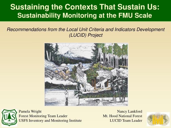 sustaining the contexts that sustain us sustainability monitoring at the fmu scale