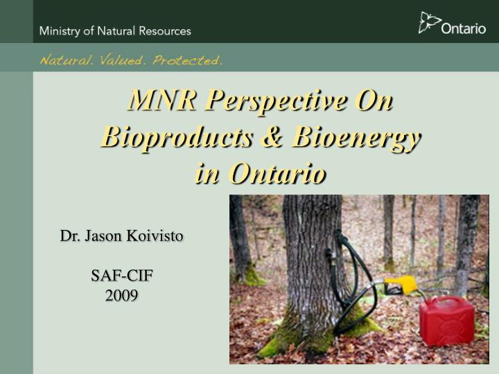 mnr perspective on bioproducts bioenergy in ontario