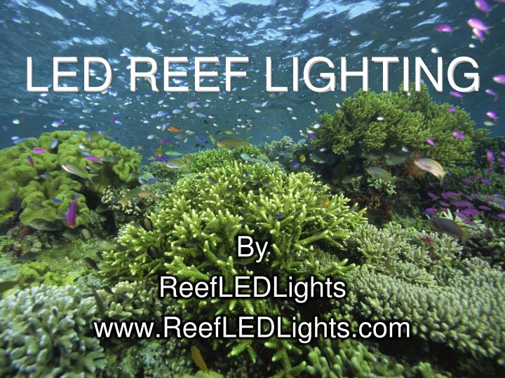 led reef lighting