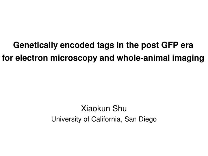 genetically encoded tags in the post gfp era for electron microscopy and whole animal imaging