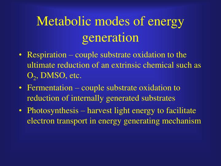 metabolic modes of energy generation