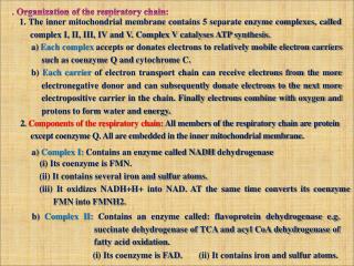 . Organization of the respiratory chain: