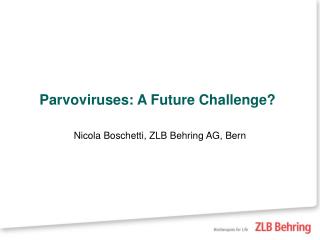 Parvoviruses: A Future Challenge?