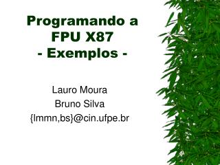 programando a fpu x87 exemplos