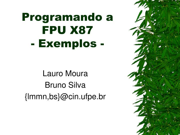 programando a fpu x87 exemplos