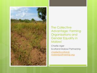 The Collective Advantage: Farming Organisations and Gender Equality in Malawi