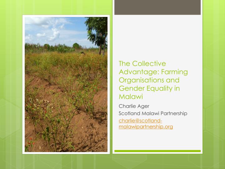 the collective advantage farming organisations and gender equality in malawi