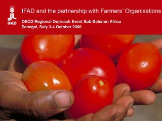 IFAD: Origins and Mandate