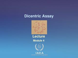 Dicentric Assay