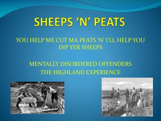 SHEEPS ‘N’ PEATS