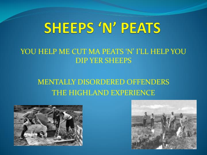 sheeps n peats