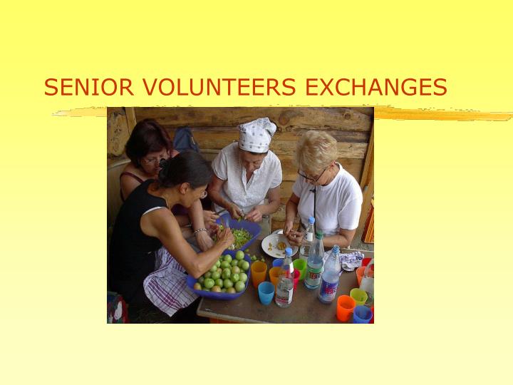 senior volunteers exchanges