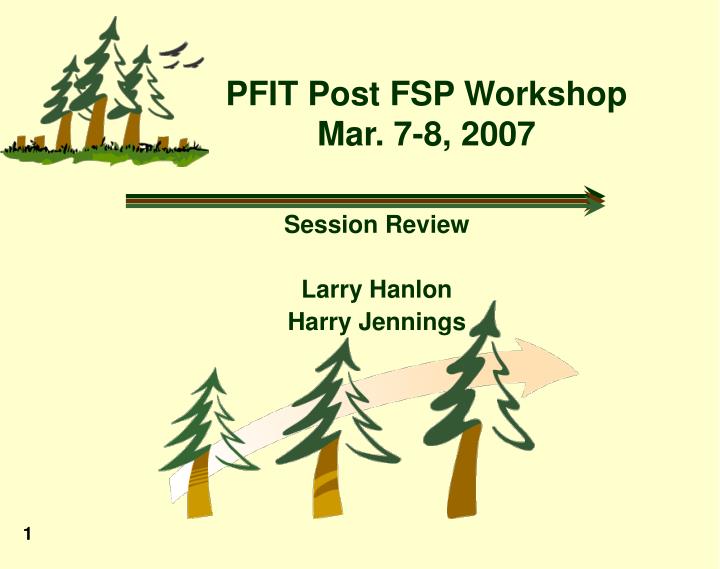 pfit post fsp workshop mar 7 8 2007