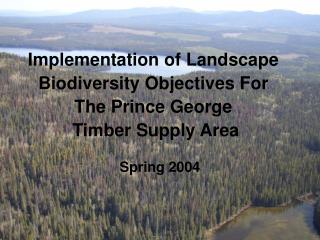 Implementation of Landscape Biodiversity Objectives For The Prince George Timber Supply Area
