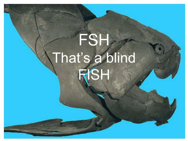 fsh that s a blind fish