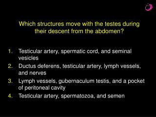 Which structures move with the testes during their descent from the abdomen?