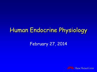 Human Endocrine Physiology