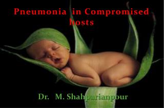 Pneumonia in Compromised hosts