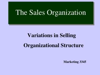 The Sales Organization
