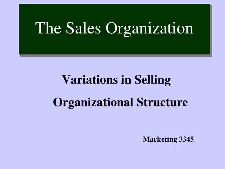 the sales organization