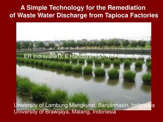 A Simple Technology for the Remediation of Waste Water Discharge from Tapioca Factories