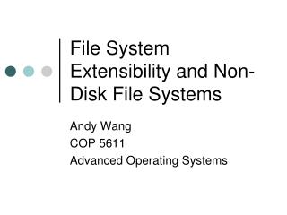 File System Extensibility and Non-Disk File Systems