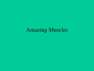 Amazing Muscles