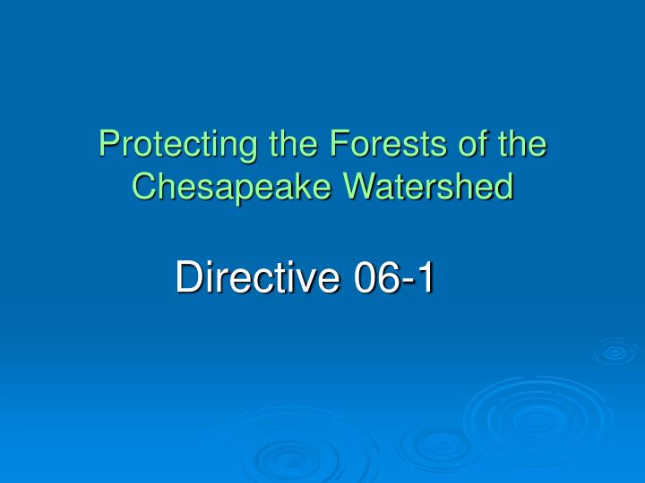 protecting the forests of the chesapeake watershed