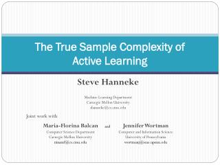 The True Sample Complexity of Active Learning