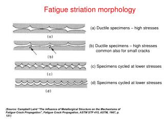Fatigue striation morphology