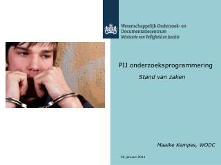 pij onderzoeksprogrammering