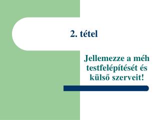 2 t tel