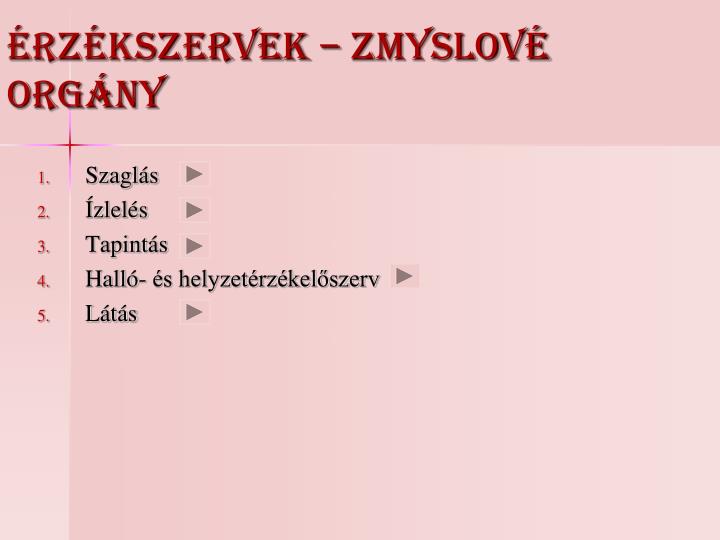 rz kszervek zmyslov org ny