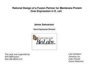 Rational Design of a Fusion Partner for Membrane Protein 				Over-Expression in E. coli